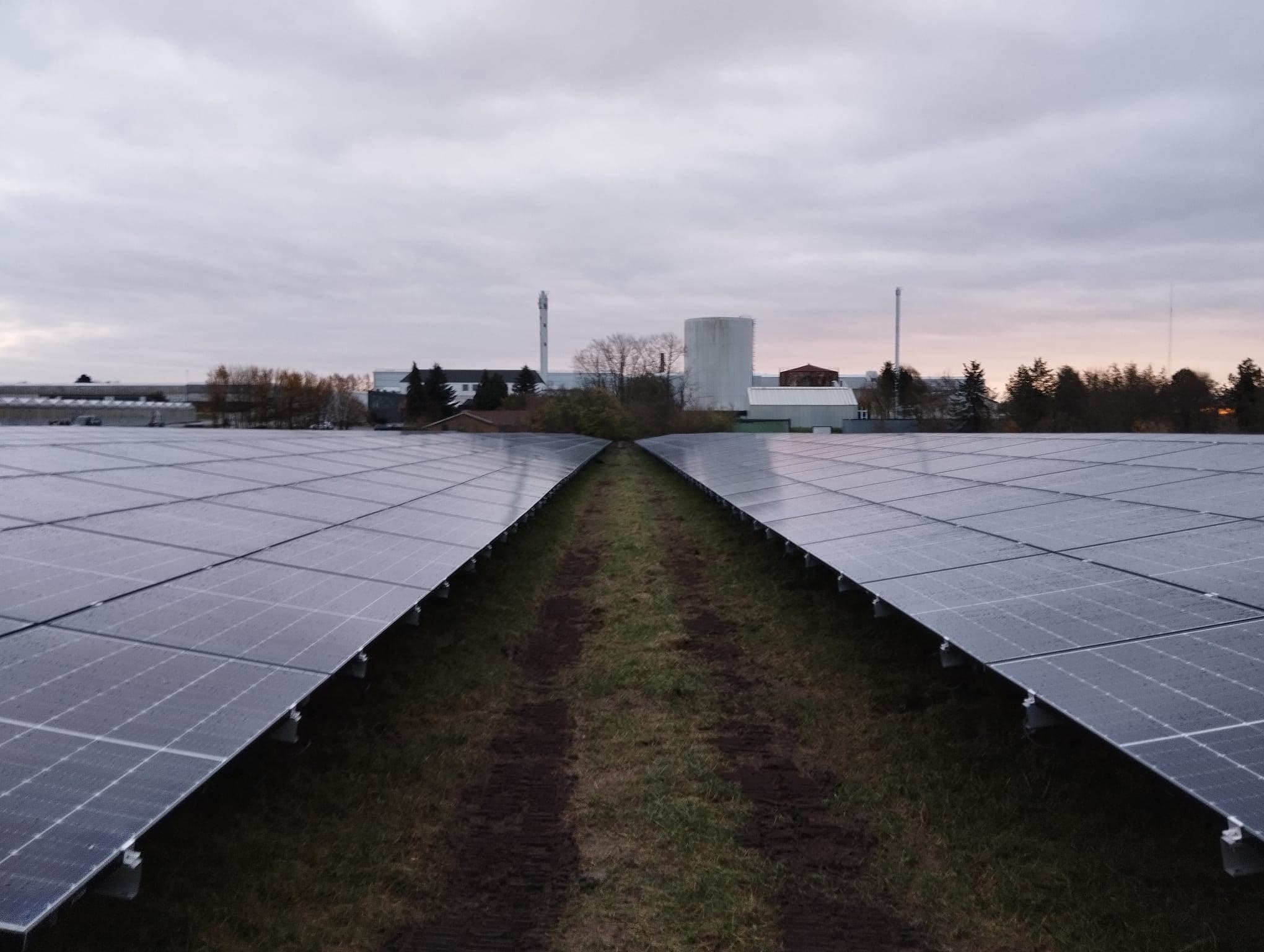 Billede af solceller på en mark